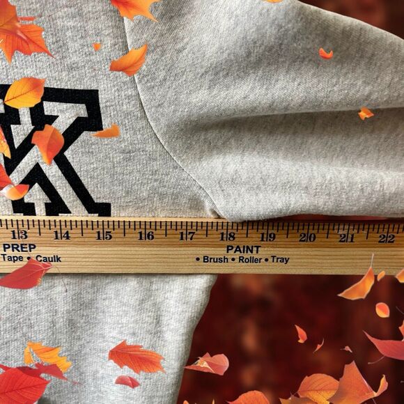 Victoria’s Secret PINK Hoodie GRAY 1/4 Zip Size XS Everyday Classic Logo EUC - Picture 6 of 9